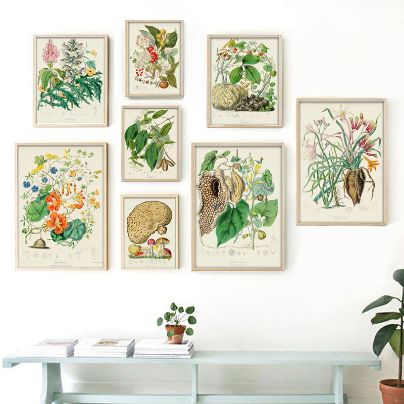 Vintage Collectible Posters - 식물학 컬렉션 빈티지 포스터, 식물 그림,